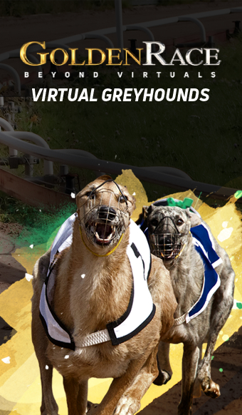 Dog 6